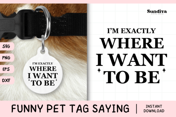 Funny Pet Tag Saying SVG 17: A Designer’s Real-World Review