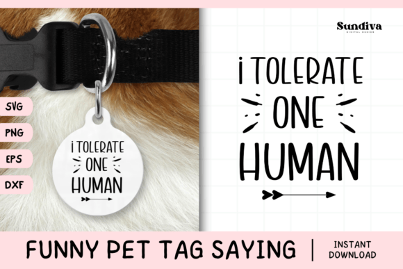 Funny Pet Tag Saying SVG 21 Review for Real Embroidery Projects