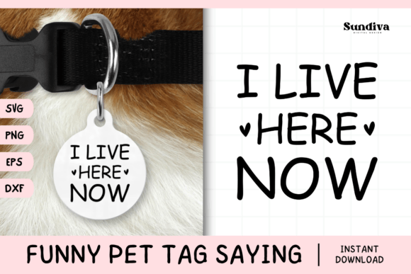 Funny Pet Tag Saying SVG 34: A Designer’s Honest Review