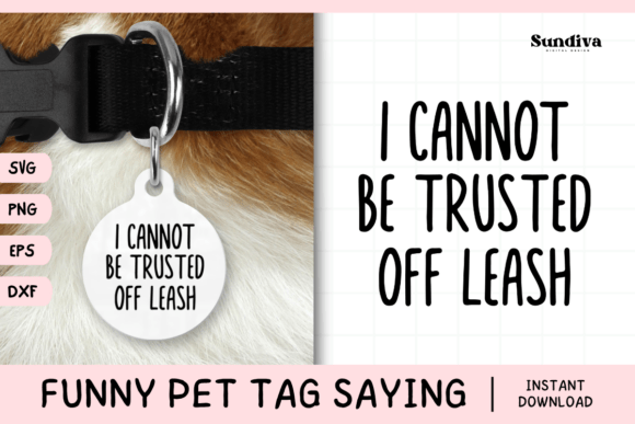 Funny Pet Tag Saying SVG 49 Review for Real Embroidery Projects